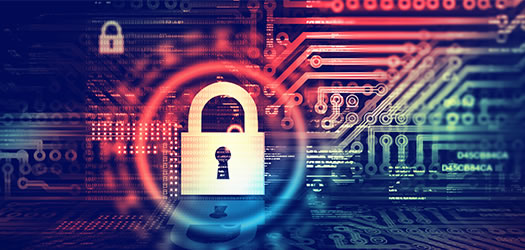 Cyber Liability Insurance